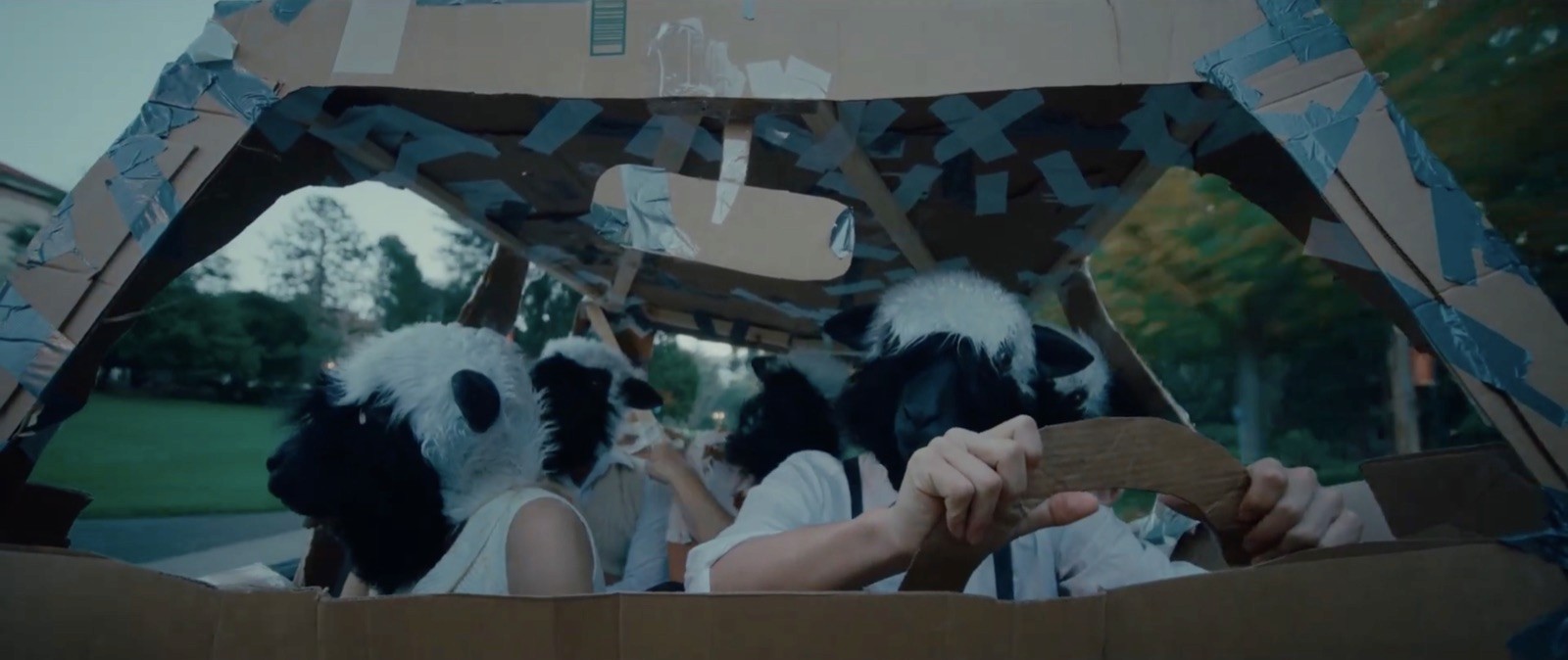BAAAAAA still 2